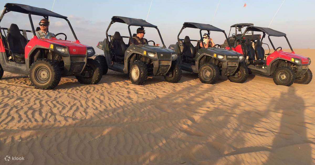 Dune buggy discount safari